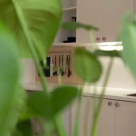 Gemuetliches Mit Hochbett Im Herzen Von