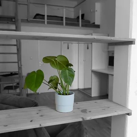 Gemuetliches Mit Hochbett Im Herzen Von Apartament